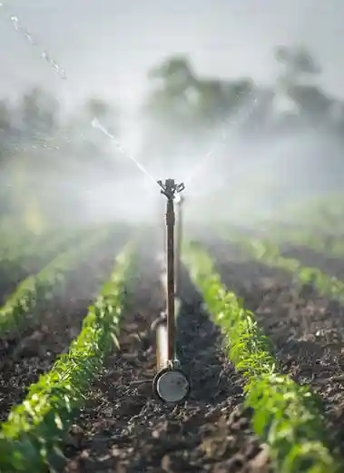 Sprinklers