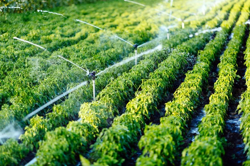Irrigation system
